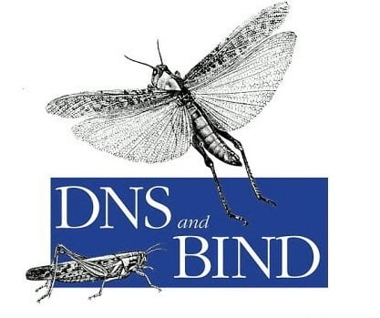 bind_dns